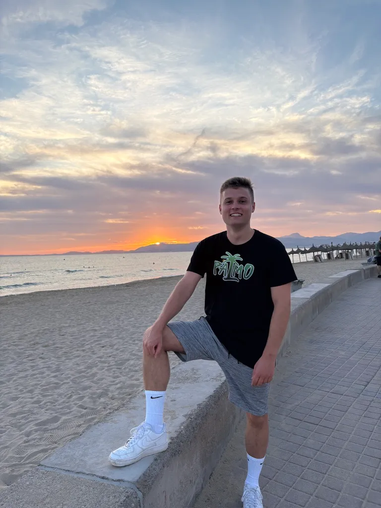 Palmo am Strand